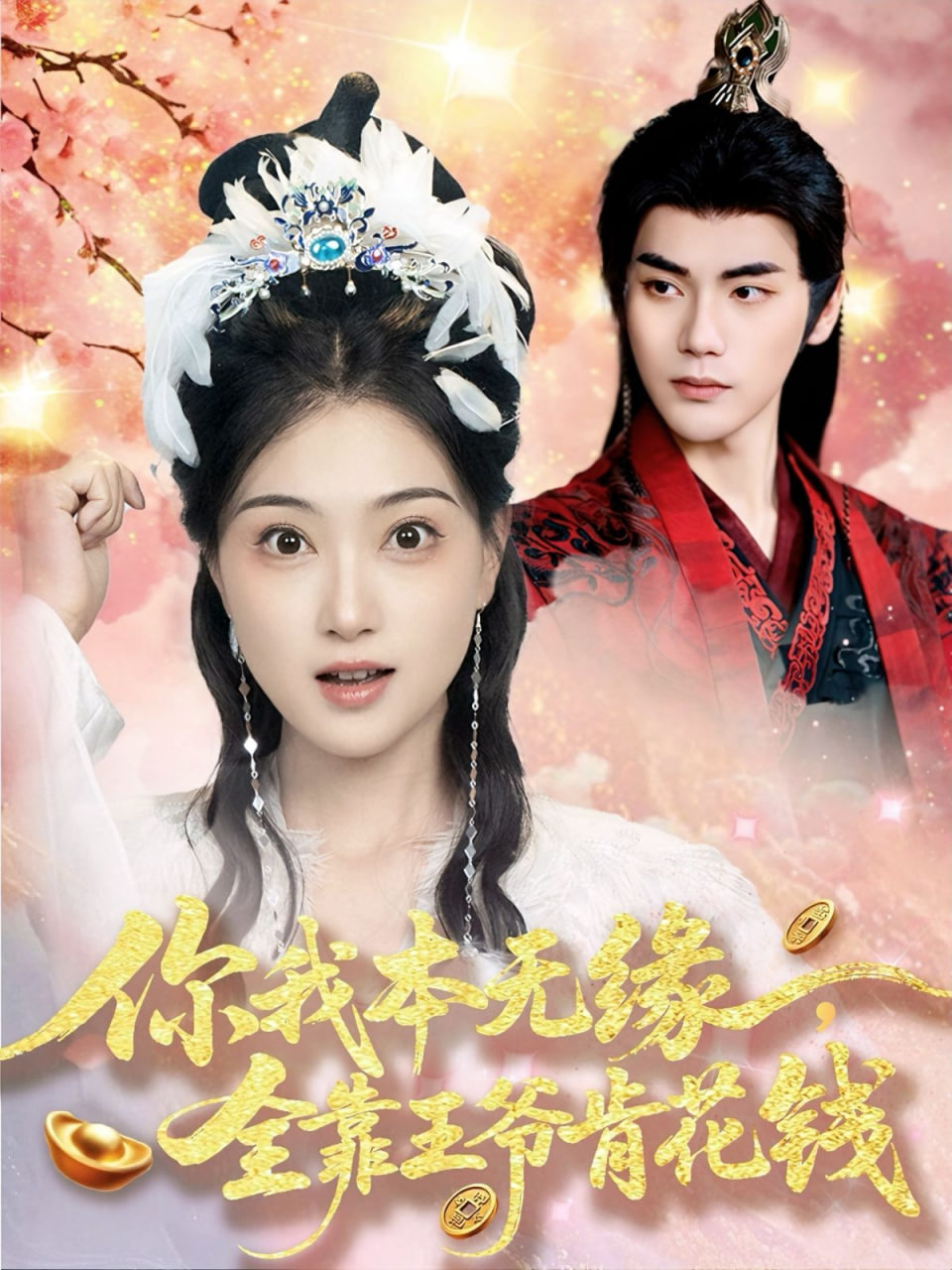 你我本无缘全靠王爷肯花钱封面