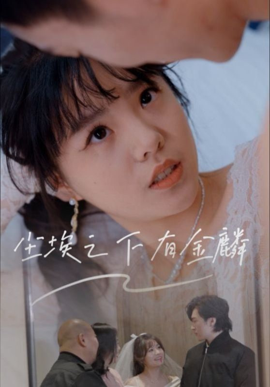 尘埃之下有金鳞封面