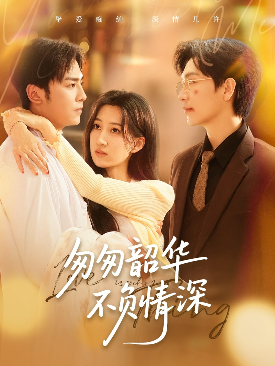 匆匆韶华不负情深封面