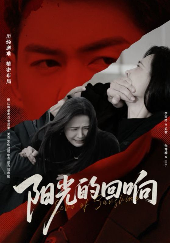 阳光的回响封面