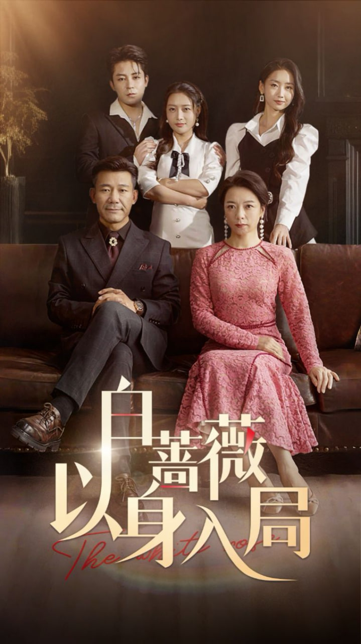 白蔷薇以身入局封面