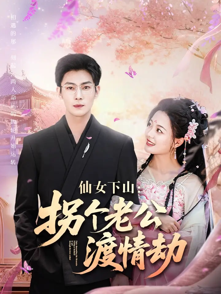 仙女下山拐个老公渡情劫封面