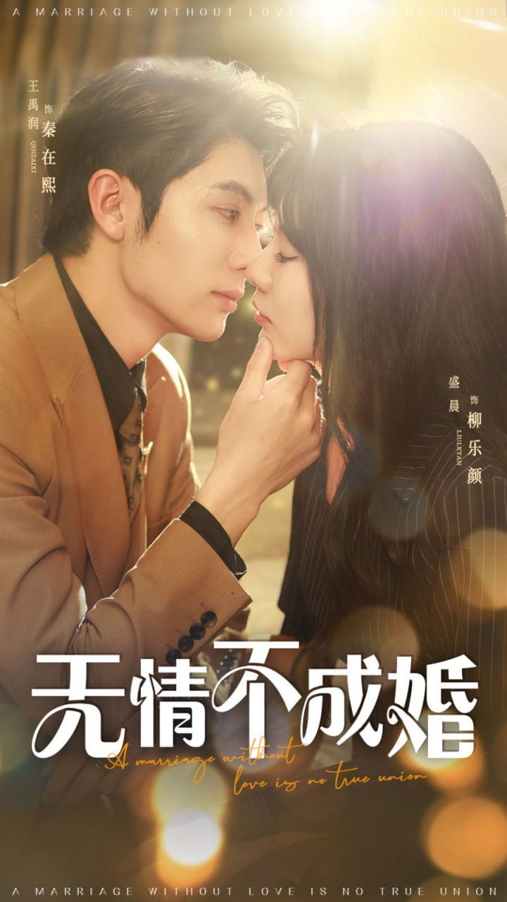 无情不成婚