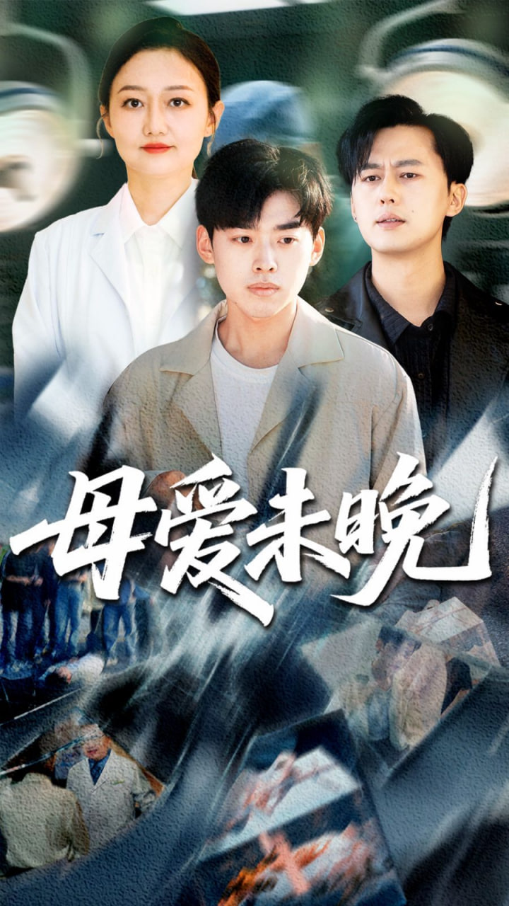母爱未晚封面