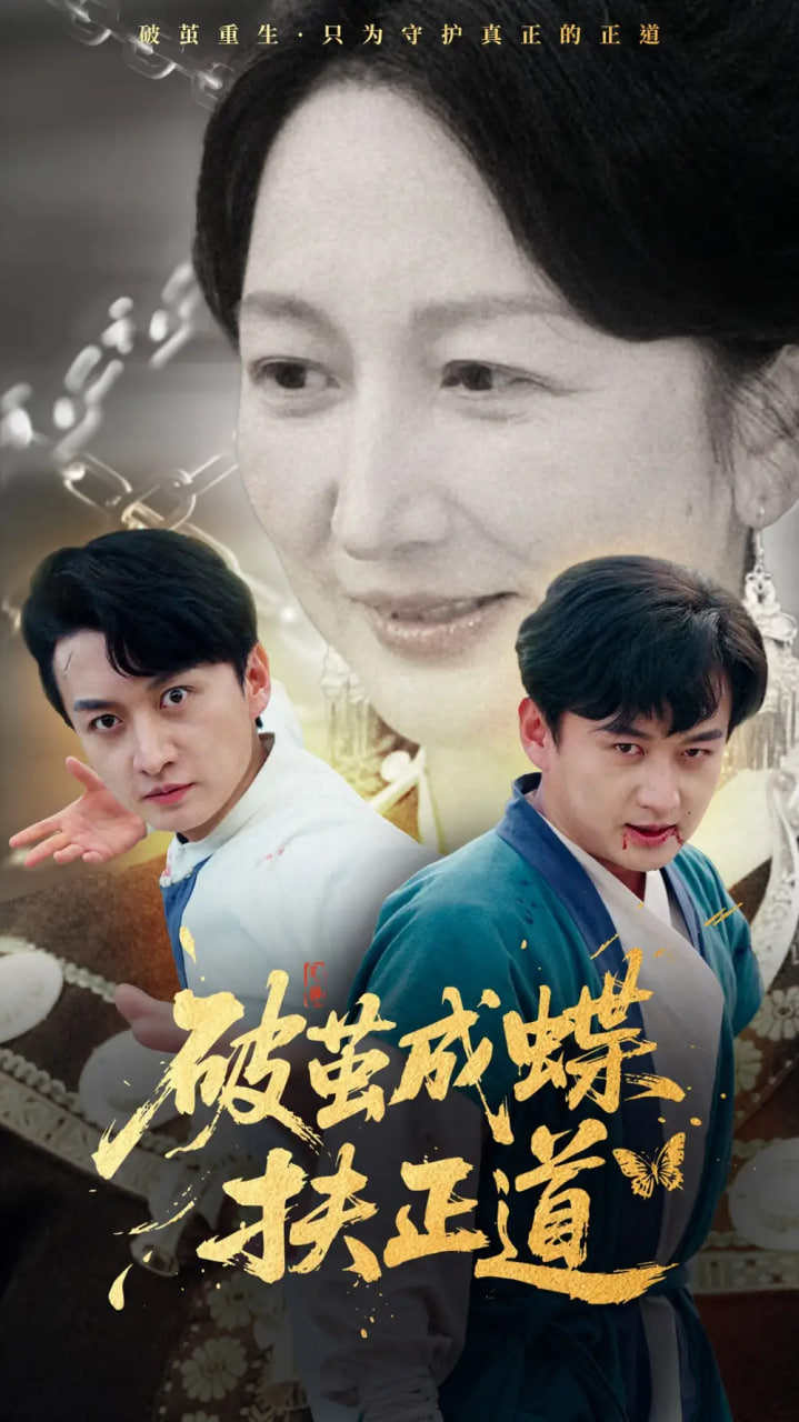 破茧成蝶扶正道封面