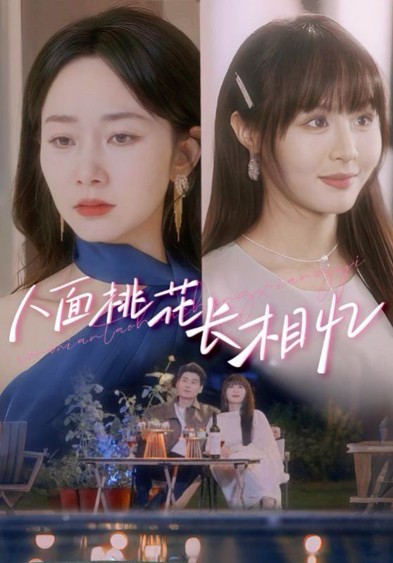 人面桃花长相忆封面