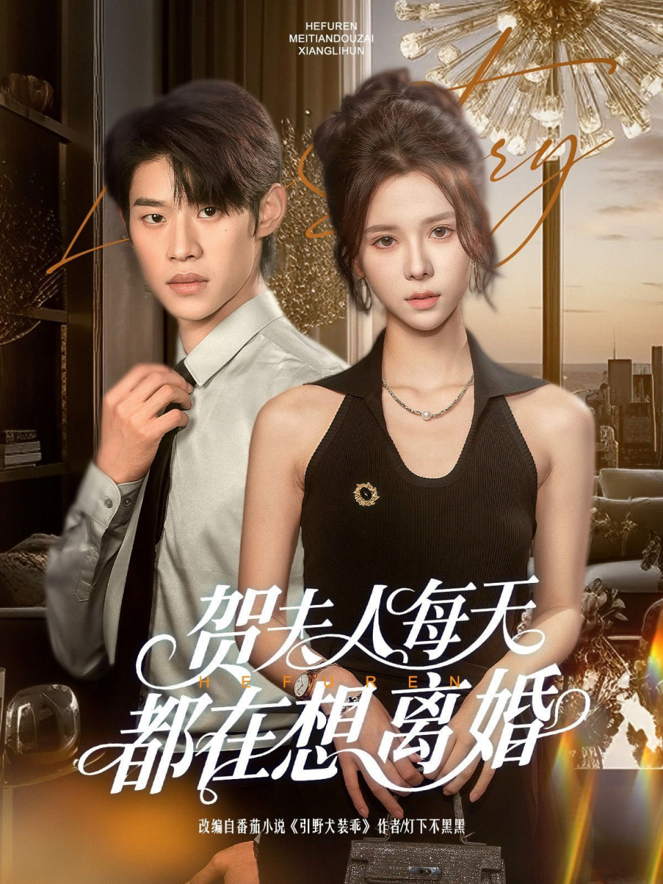 贺夫人每天都在想离婚封面