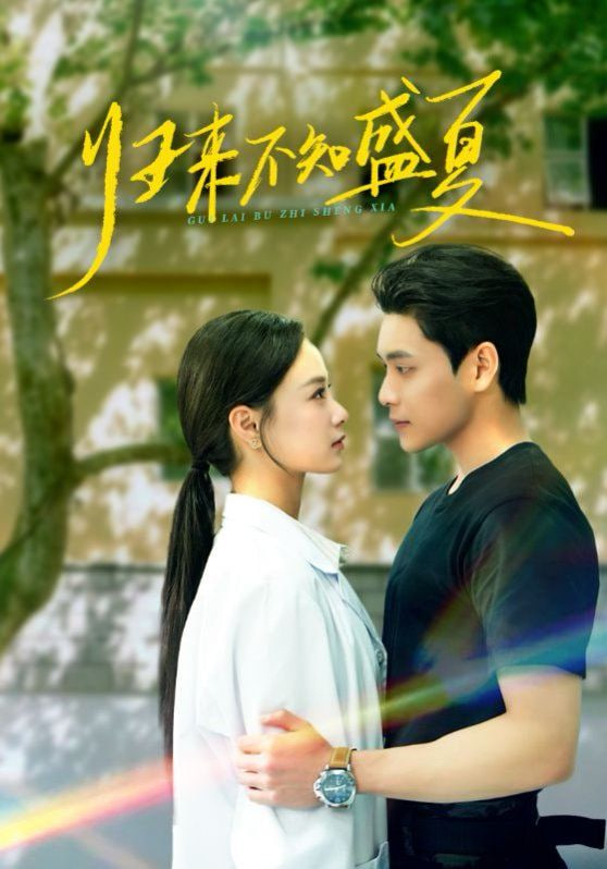 归来不知盛夏封面
