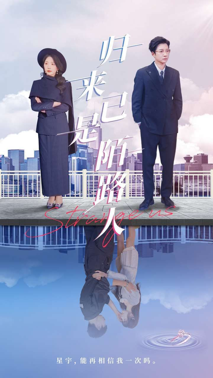归来已是陌路人封面