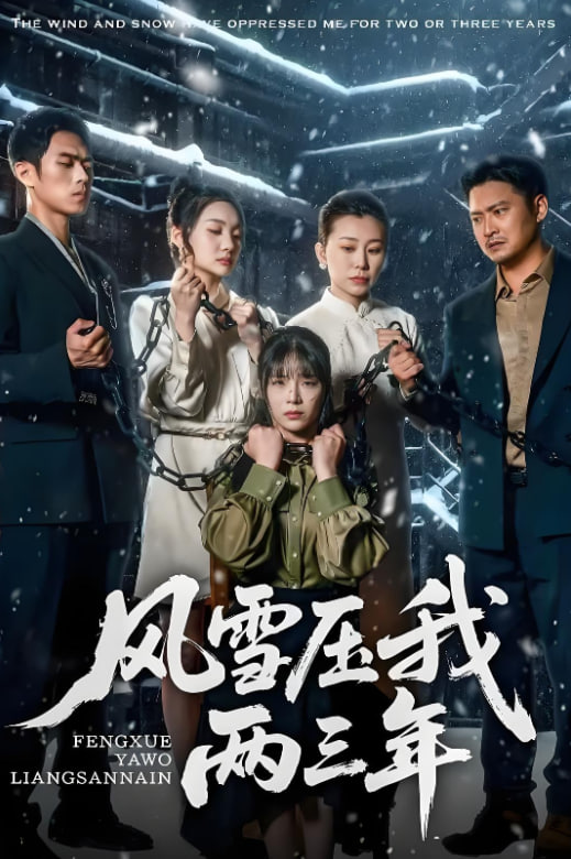 风雪压我两三年封面