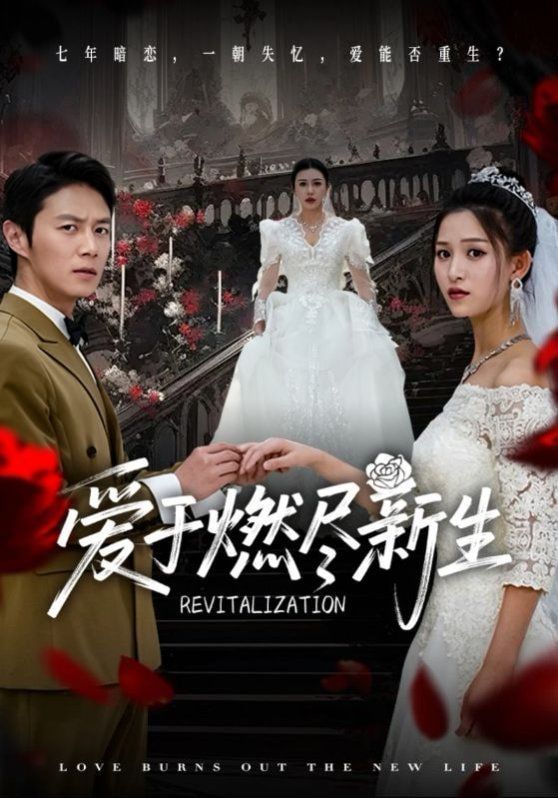 爱于燃尽新生封面