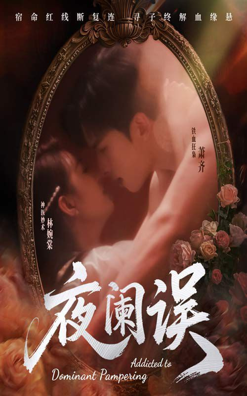 夜阑误封面