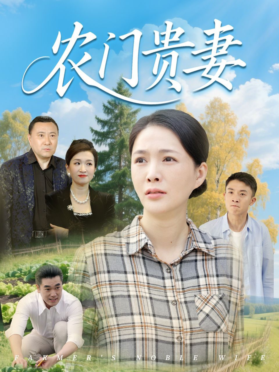 农门贵妻封面