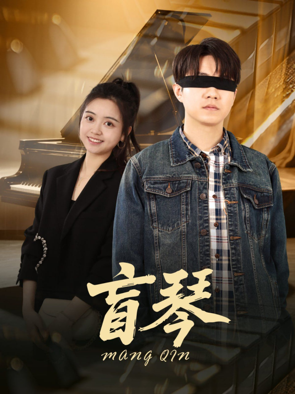 盲琴封面