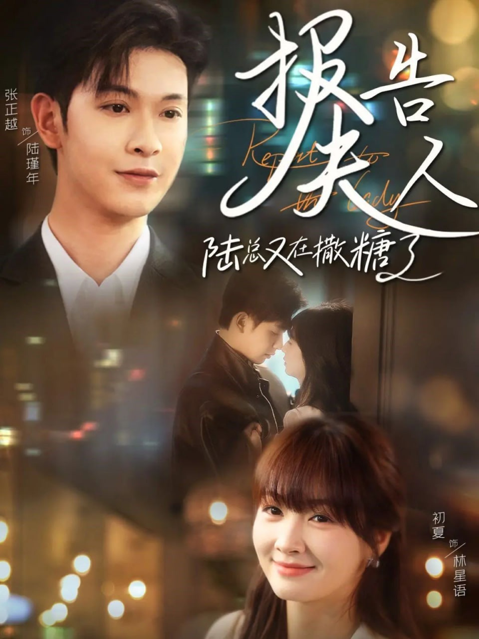 报告夫人陆总又在撒糖了封面