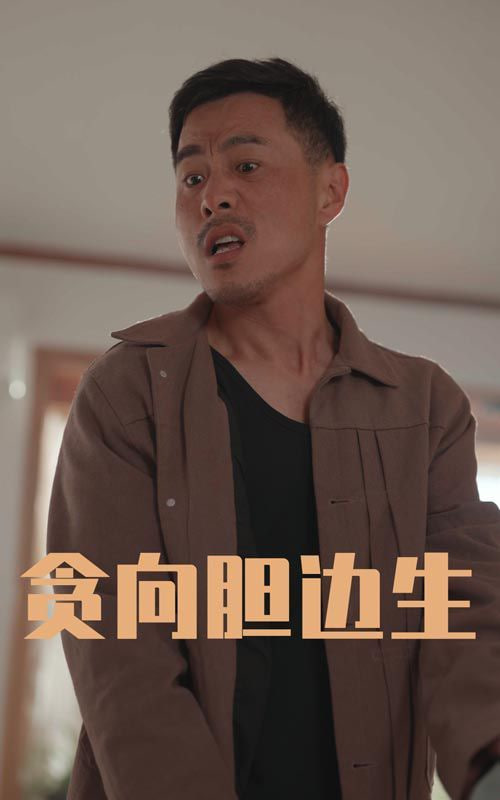贪向胆边生封面