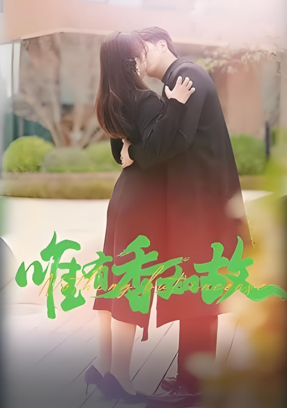 唯有香如故封面
