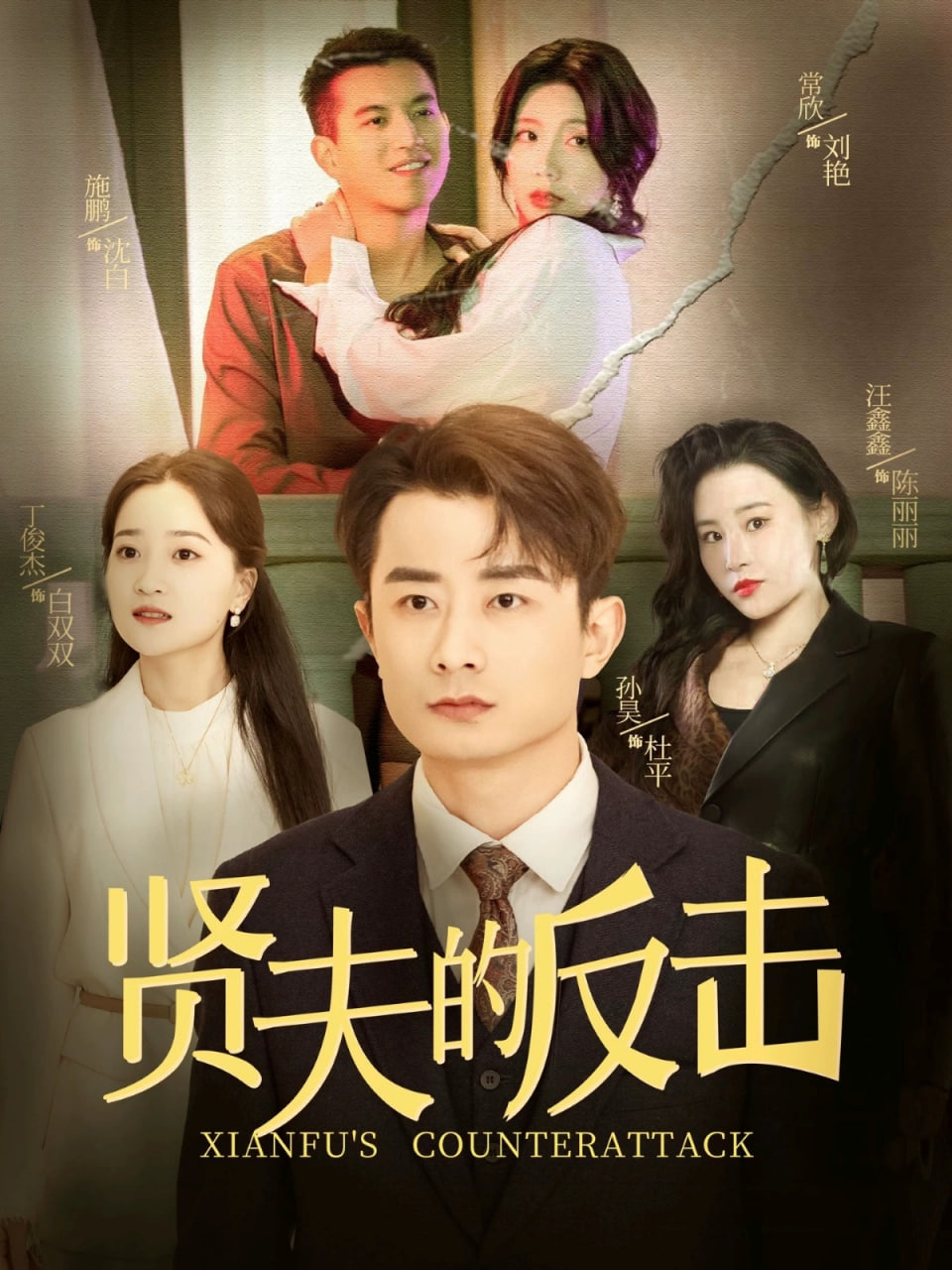 贤夫的反击封面