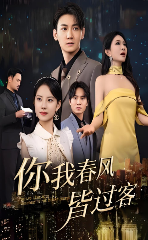 你我春风皆过客封面