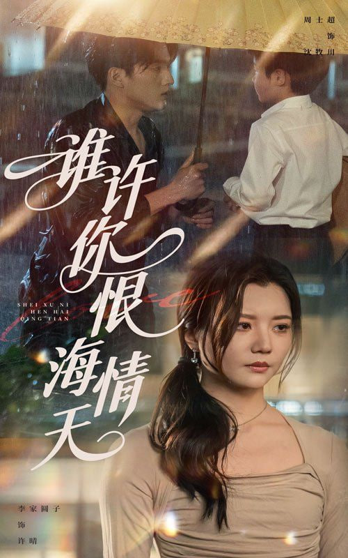 谁许你恨海情天封面