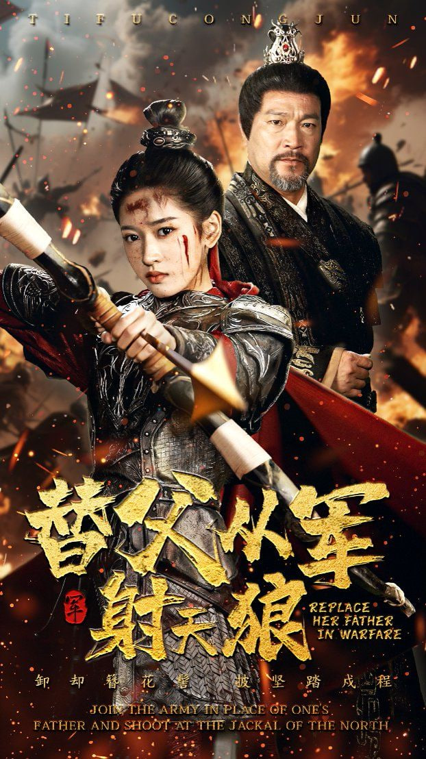 替父从军射天狼封面
