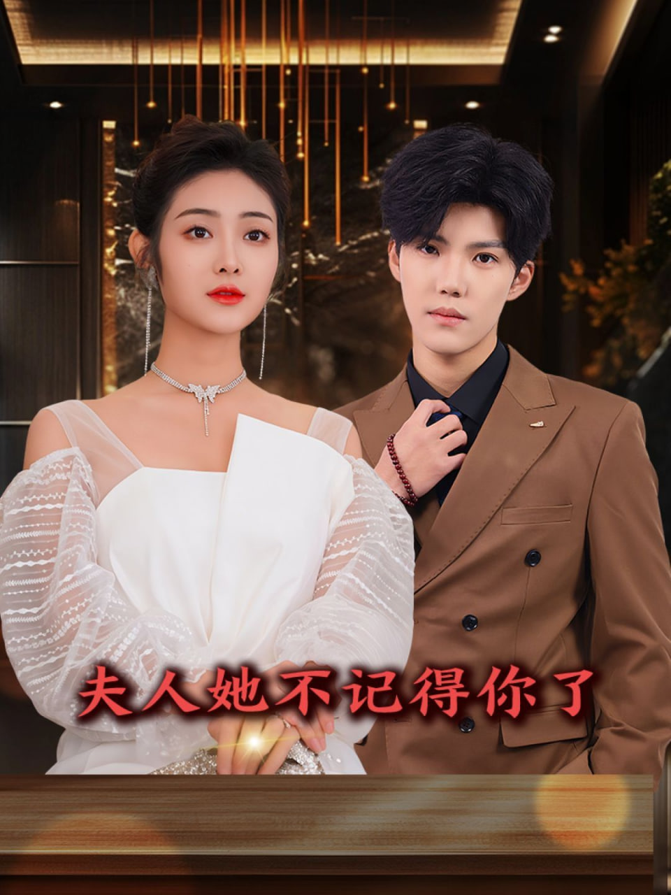 夫人她不记得你了封面