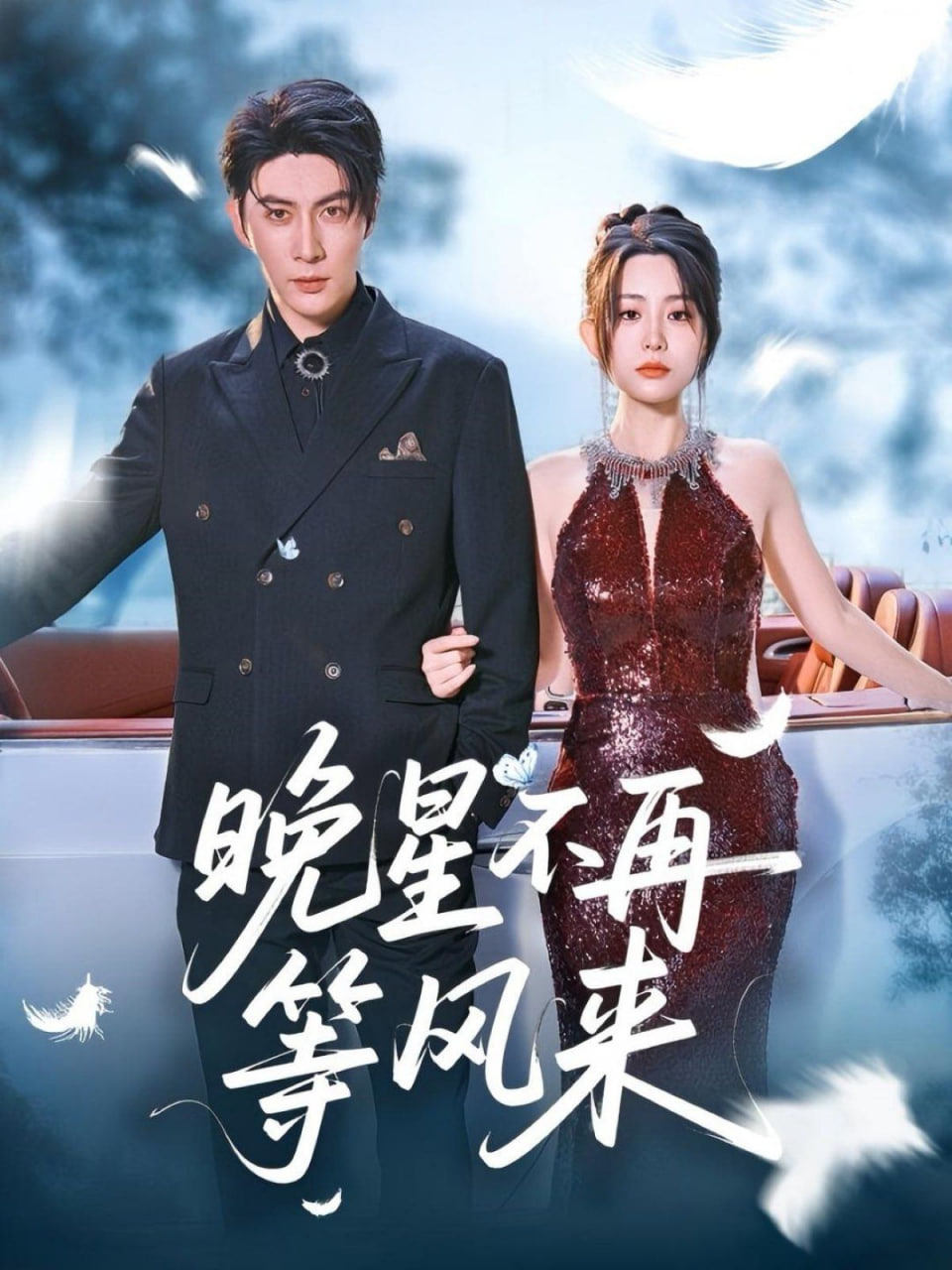 晚星不再等风来封面
