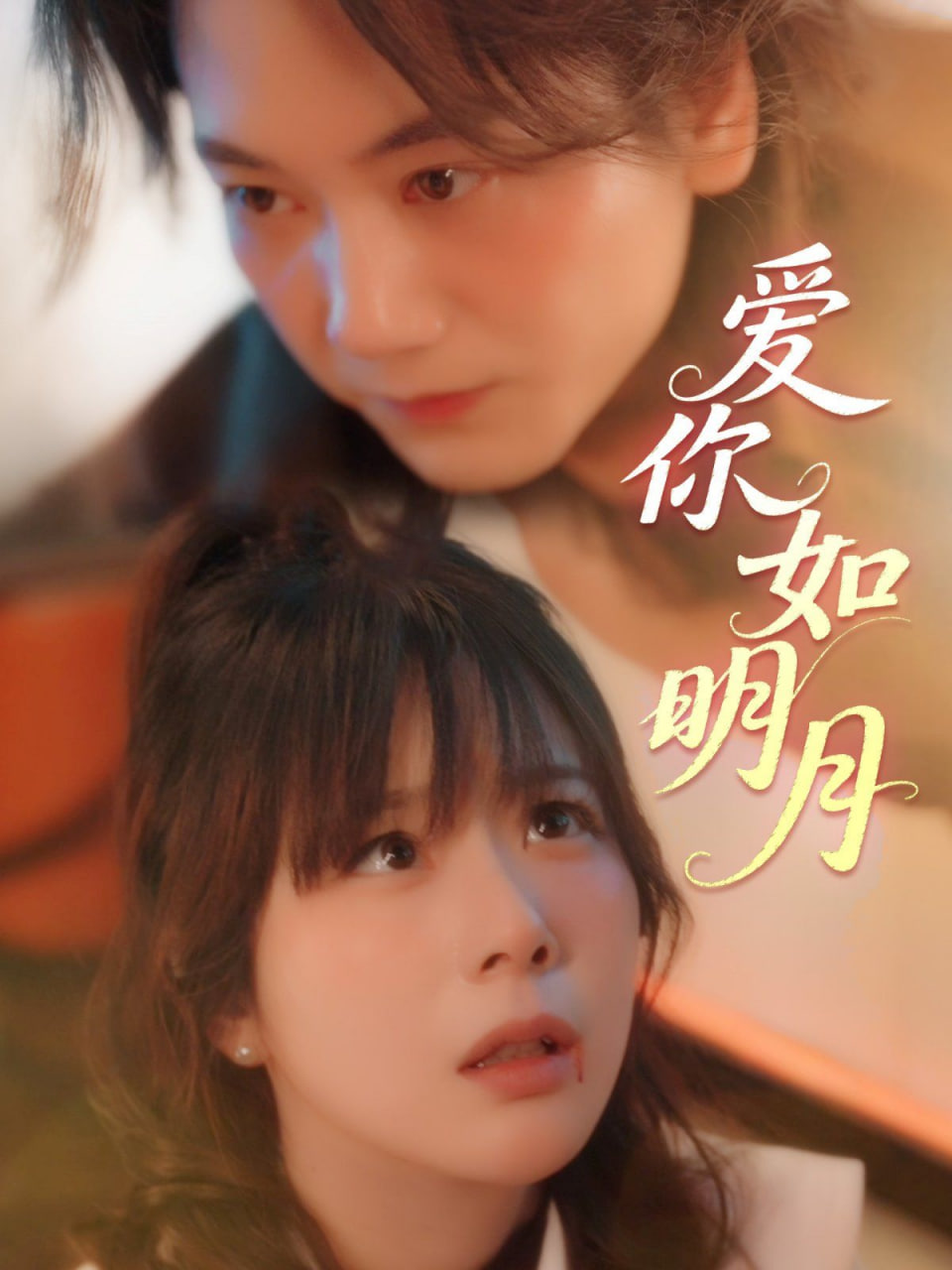 爱你如明月封面