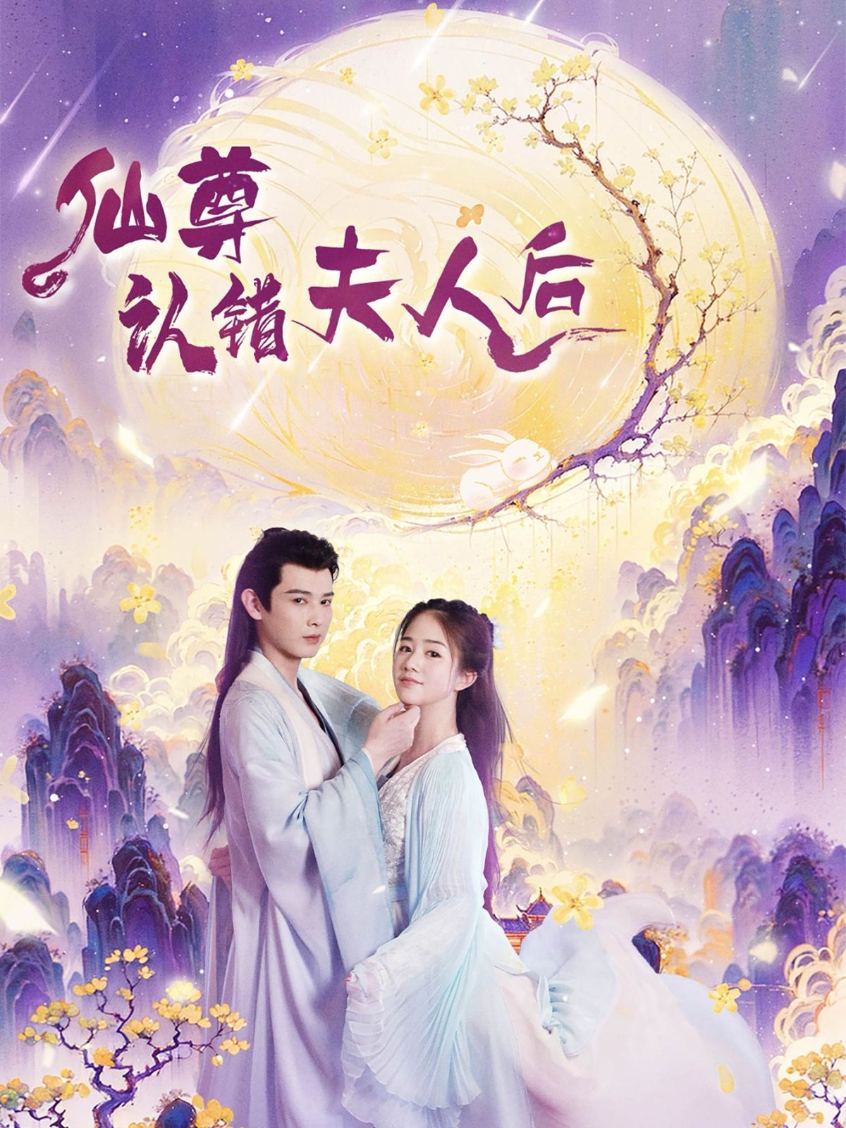 仙尊认错夫人后封面