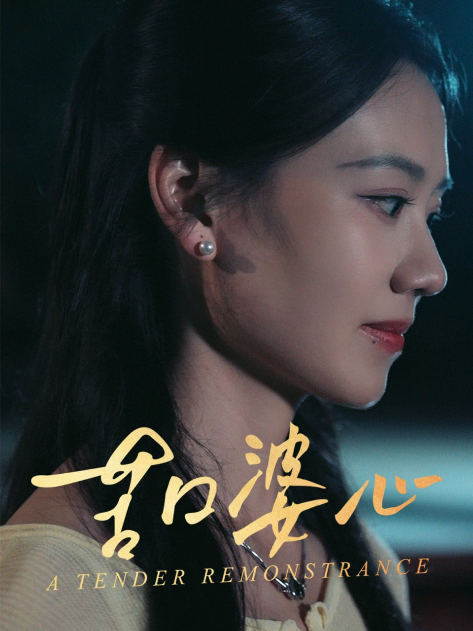苦口婆心封面