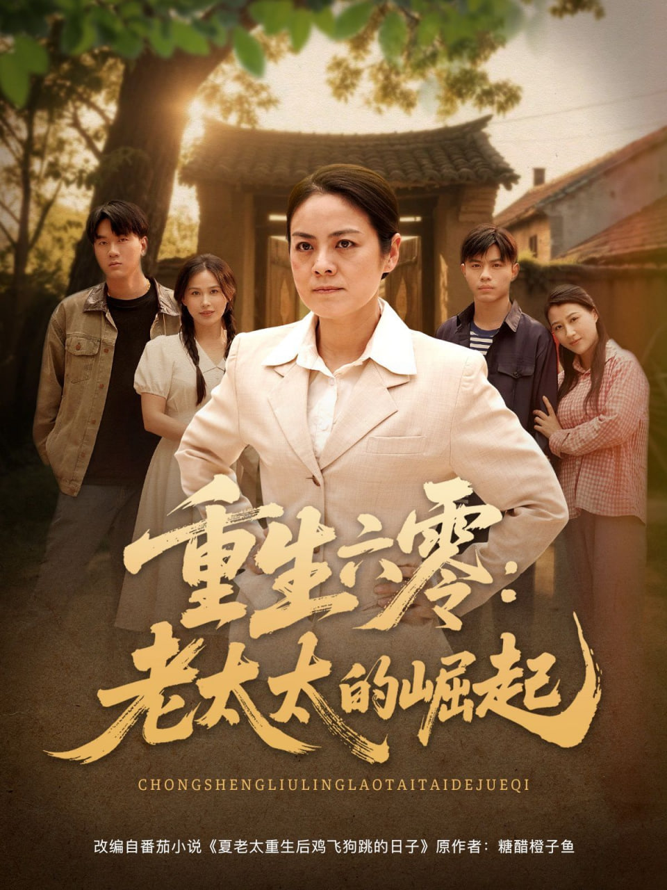 重生六零：老太太的崛起封面