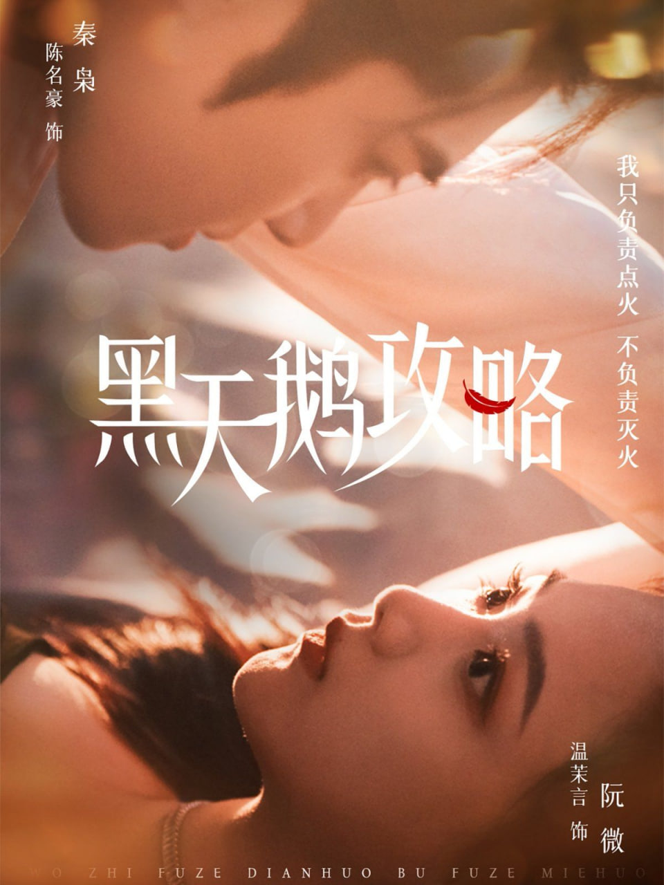 黑天鹅攻略封面