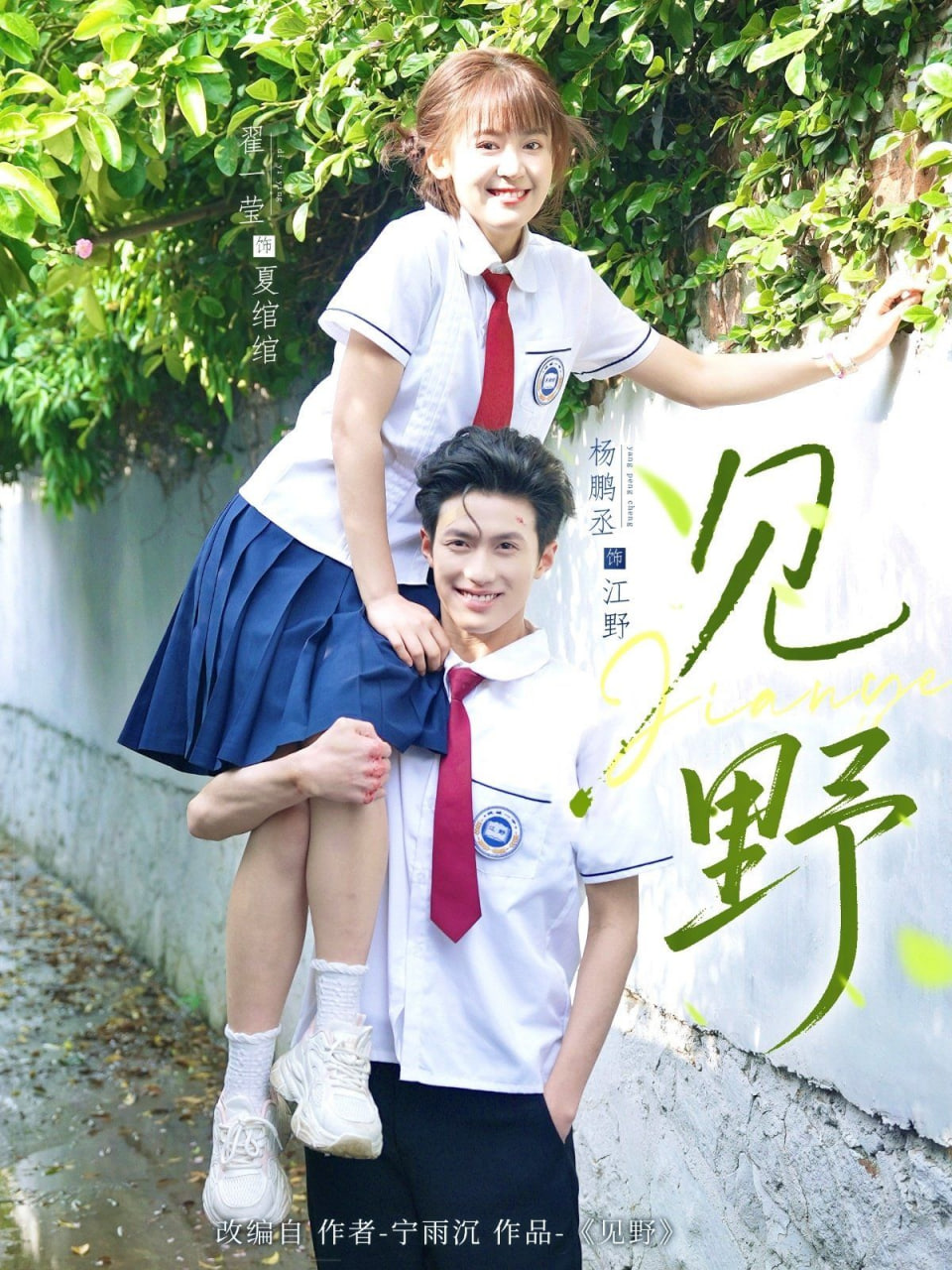 见野封面