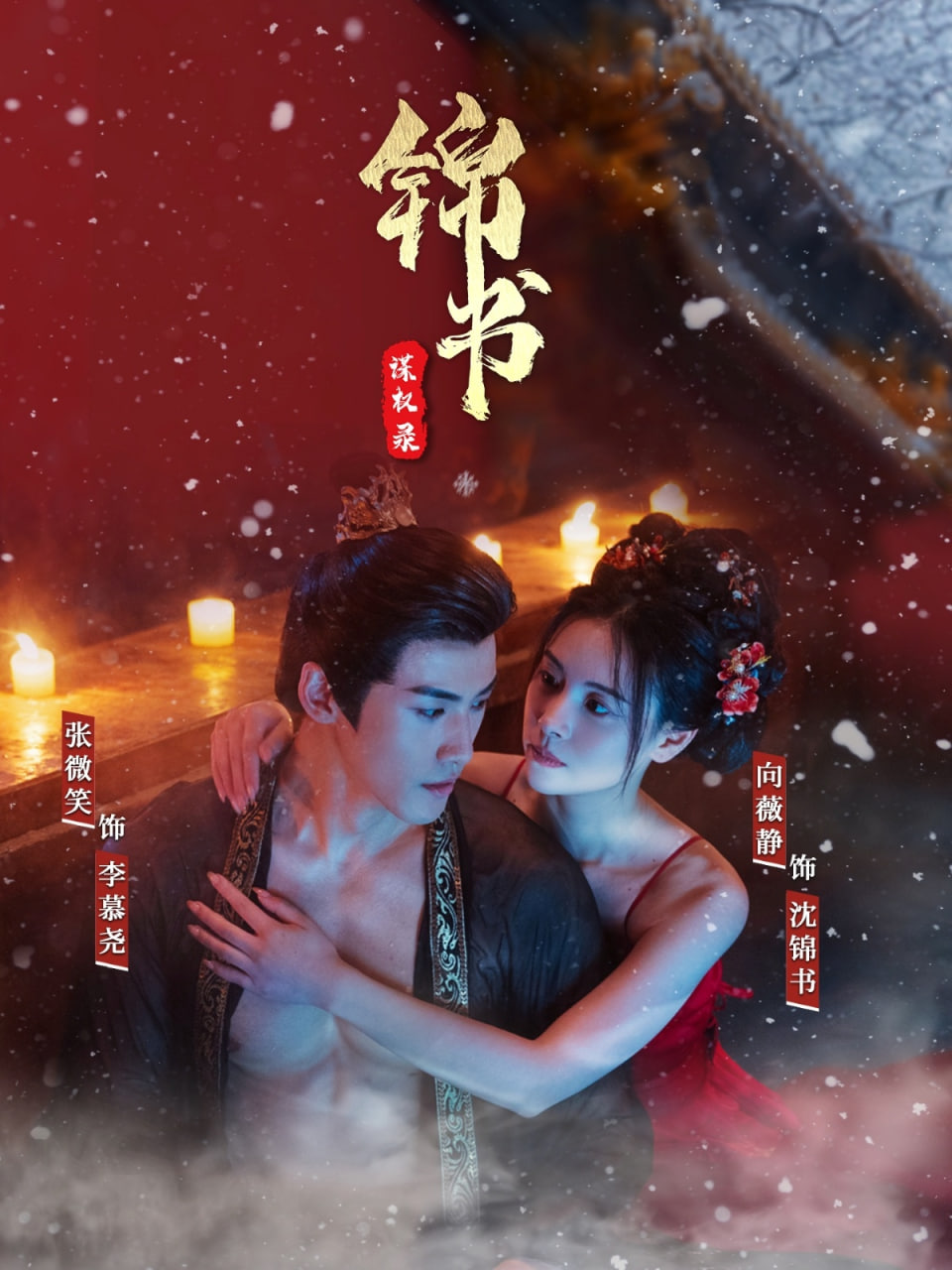 锦书谋权录封面
