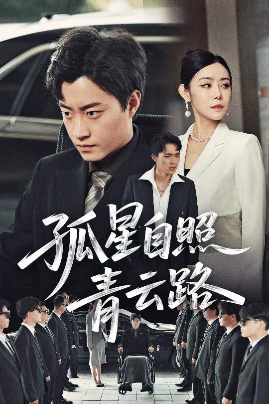 孤星自照青云路封面