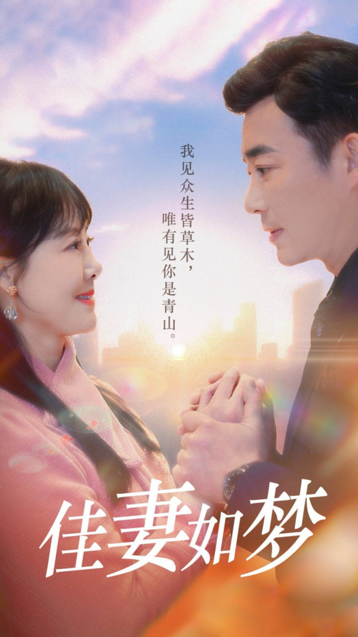 新佳妻如梦封面