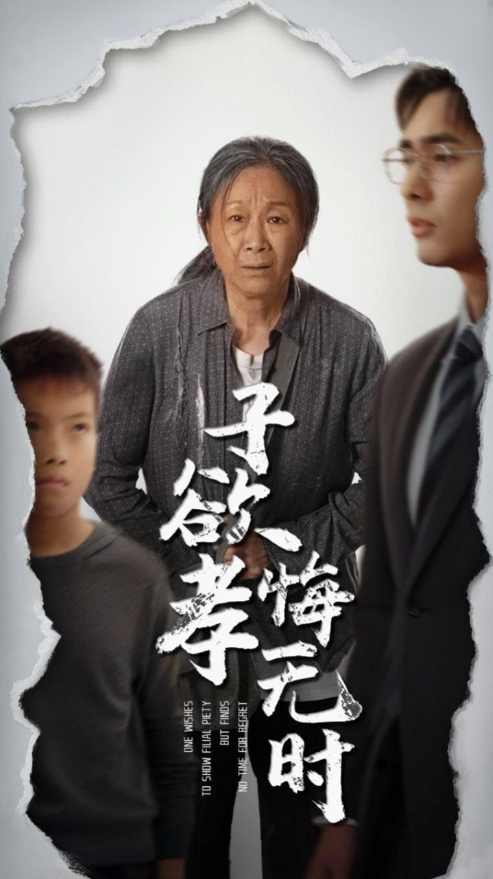 子欲孝悔无时封面