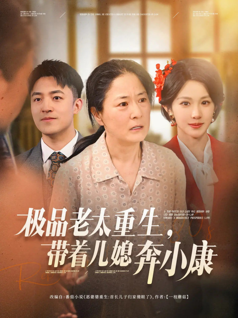 极品老太重生带着儿媳奔小康封面