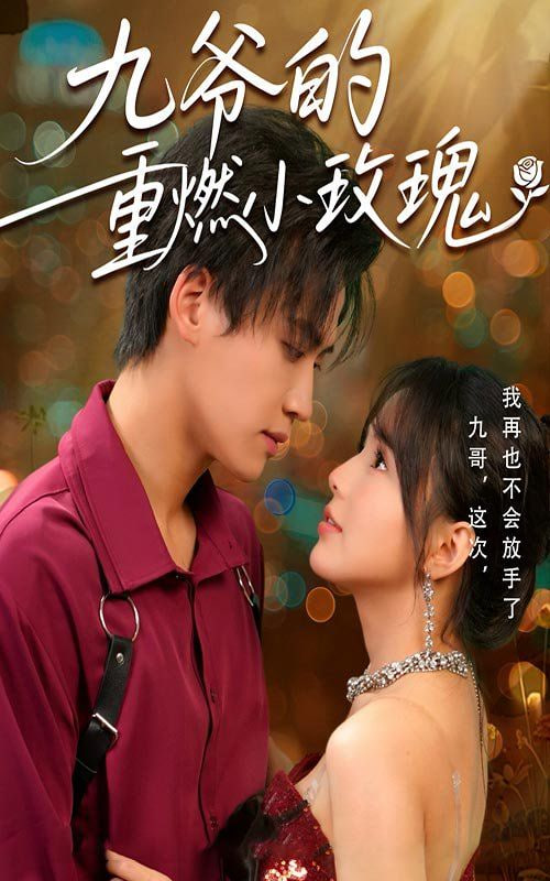 九爷的重燃小玫瑰封面