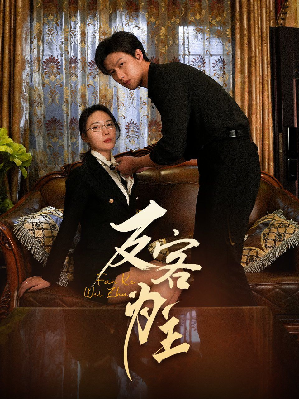 七年谜情（反客为主）封面