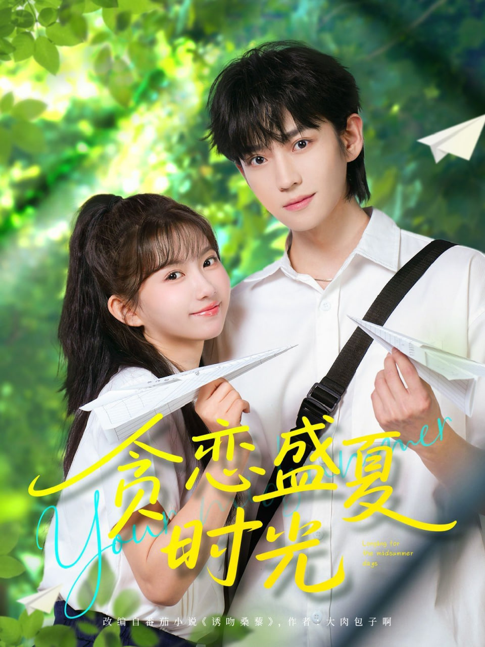 贪恋盛夏时光封面
