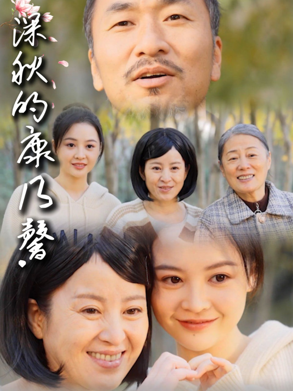 深秋的康乃馨封面