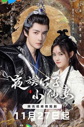 夜族公子小仙妻封面