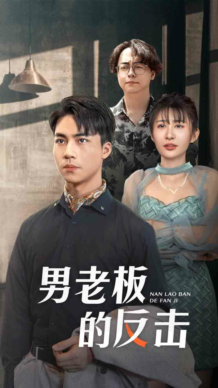 男老板的反击封面