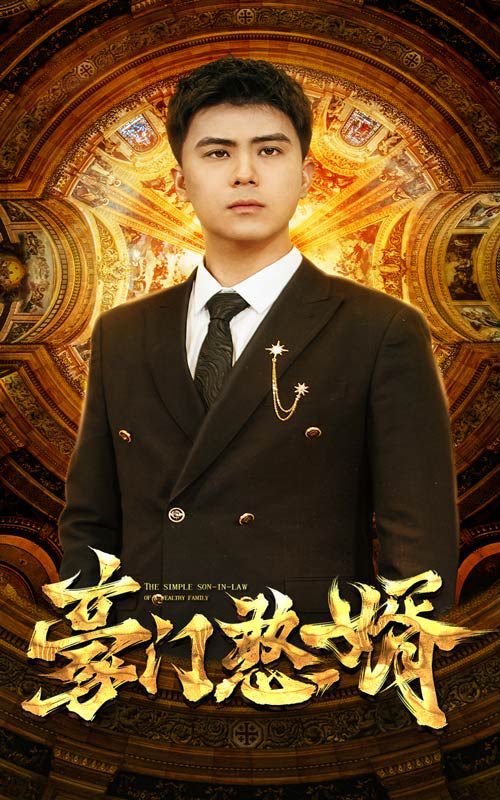 豪门憨婿封面
