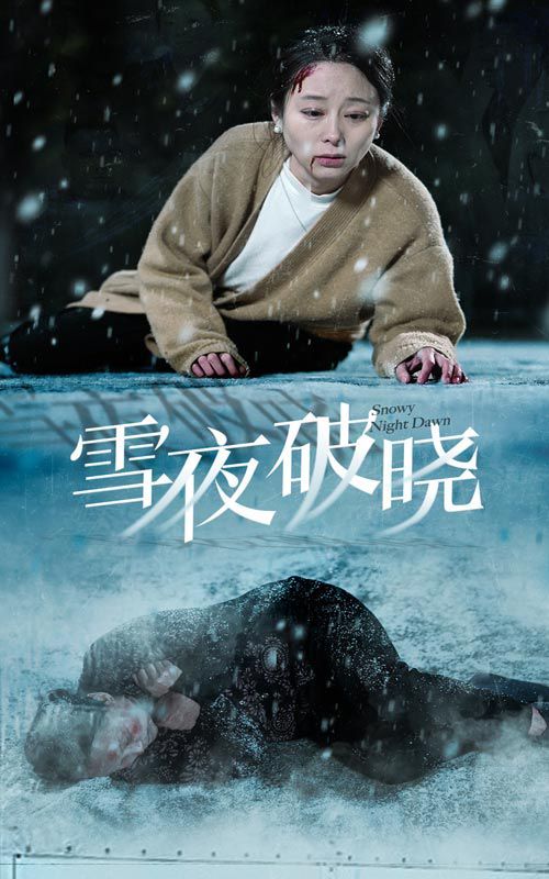 雪夜破晓封面