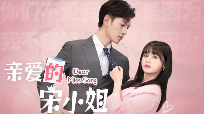亲爱的宋小姐封面