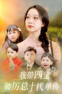 我带四宝破历总十代单传封面