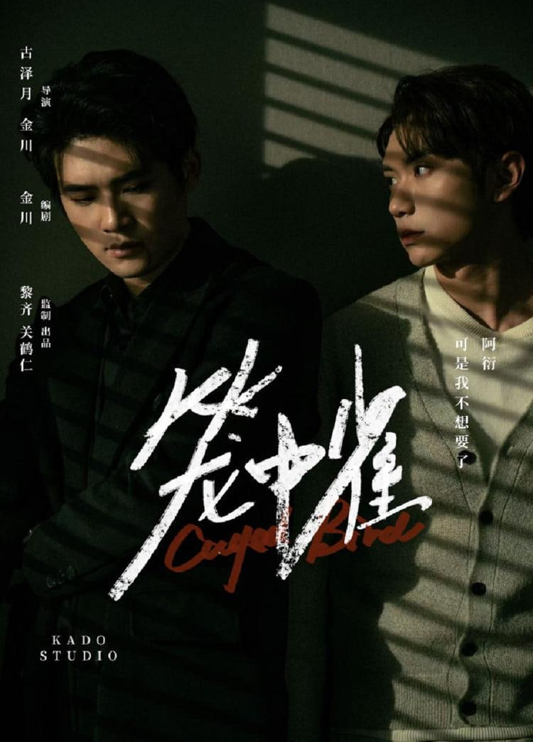 笼中雀封面