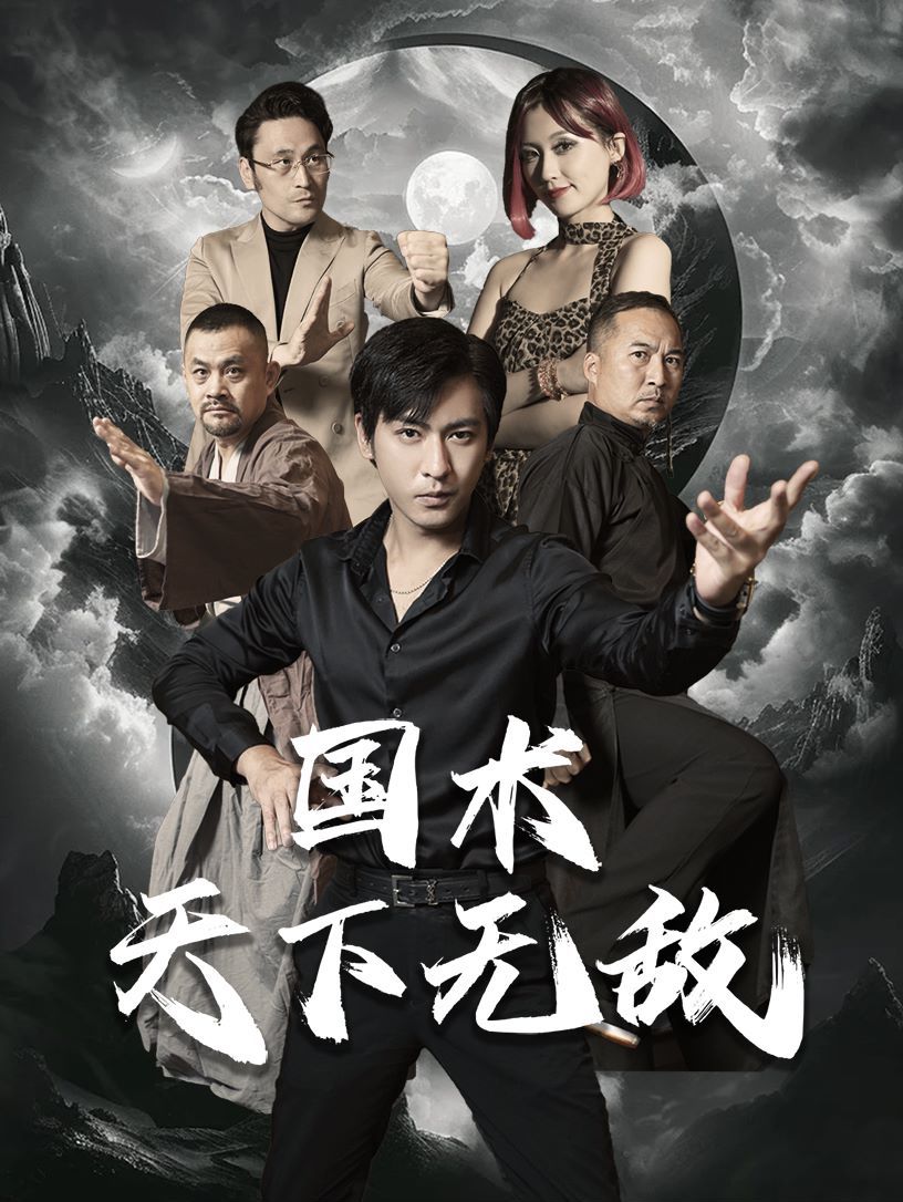 国术天下无敌封面